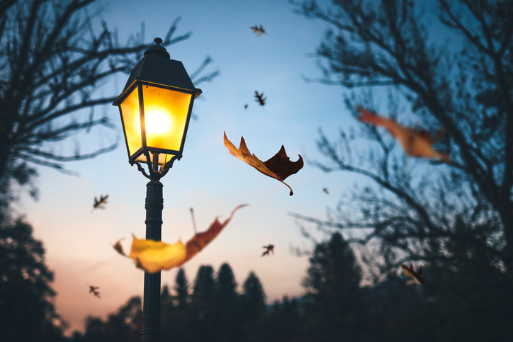 Autumn Time